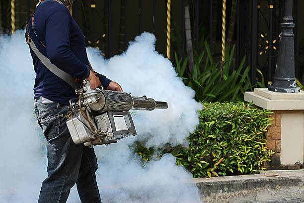 Mosquito Pest Control Services
