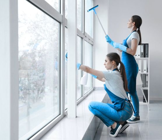 Window Cleaning Service: WellBro Care